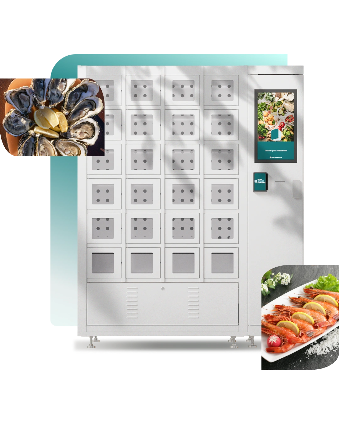 Armadietto refrigerato progettato per i prodotti ittici