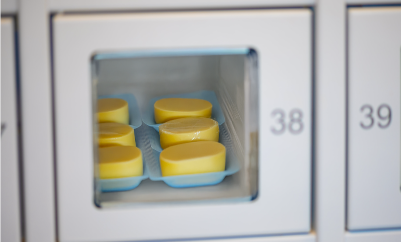 Formaggi freschi venduti in un armadietto refrigerato
